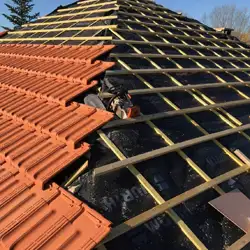 Réparation et Traitement de toiture 